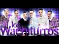 Wachiturros - Cancion de Amor