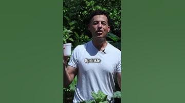 Try using coffee grounds as fertilizer in your garden! #gardening