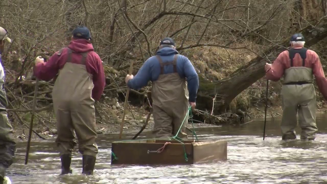 2022 Trout Stocking Schedule Available (BRoll) YouTube