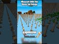 Minecraft AMA Tüm Dünya End Çubuğu 🥀🥀