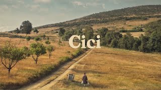 Cici 2022 Netflix Turkish Life Drama Trailer Eng Sub