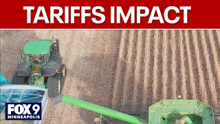 Trump tariffs create 'trade war' that could impact Minnesota farmers Wealth