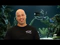 Incredible Knee Brace Fish Tank! | Tanked | Animal Planet