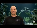 Incredible Knee Brace Fish Tank! | Tanked | Animal Planet