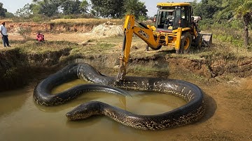 New JCB 3dx Eco Loading Mud Tractor