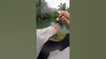 Câu cá mương không anh em