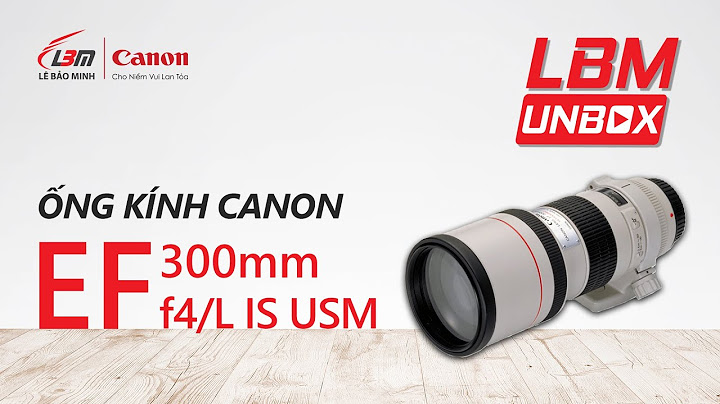 Đánh giá ống kính 300 mm f4 năm 2024