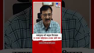 Nandurbar Bird Flu | नवापूरात बर्ड फ्लूचा शिरकाव 11 हजार कोंबड्या 6 हजार अंडी नष्ट