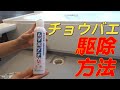 チョウバエの駆除方法　お風呂場に発生するチョウバエ対策教えます！