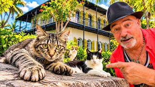 We Found The Famous Cats Of Key West! Why Do They Have Six Toes?