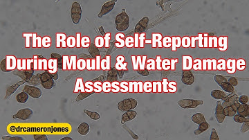Can A Questionnaire About Mould Help Explain Some Of The Risks?
