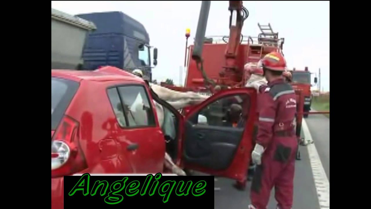 Vidéo Choc âme Sensible S Abstenir