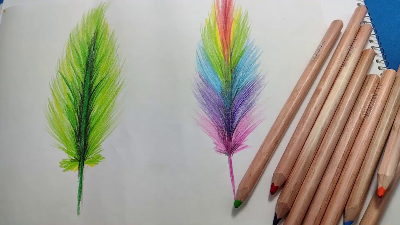 Como dibujar plumas de fantasía con lápices de colores - thptnganamst.edu.vn