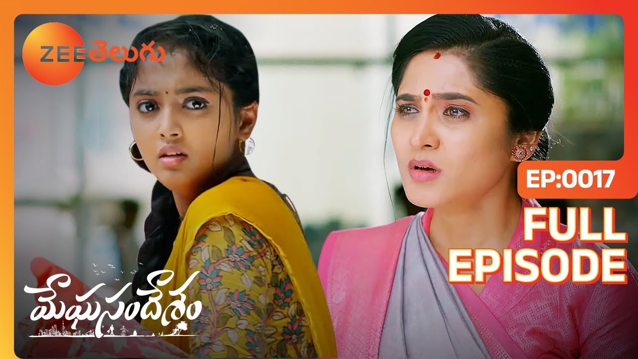 ఏంటి అయ్యా ఇది కష్టాలు భరించటానికి | Meghasandesam Telugu | Full Ep 17 | Zee Telugu | 28 Jun 2024