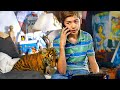 A tiger to save  film