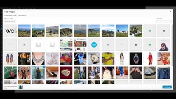 Newsletter avec mailpoet - wordpress