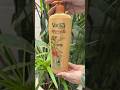 Vatika Ayurvedic Shampoo Unboxing Dabur Blinkit Shorts