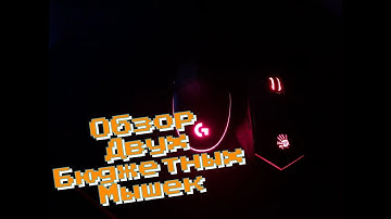 ОБЗОР. Logitech G102 vs A4tech bloody v8