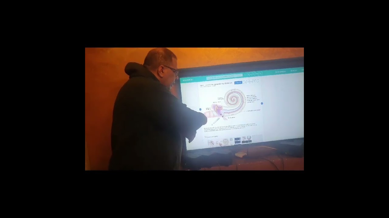 علاج ضعف السمع
