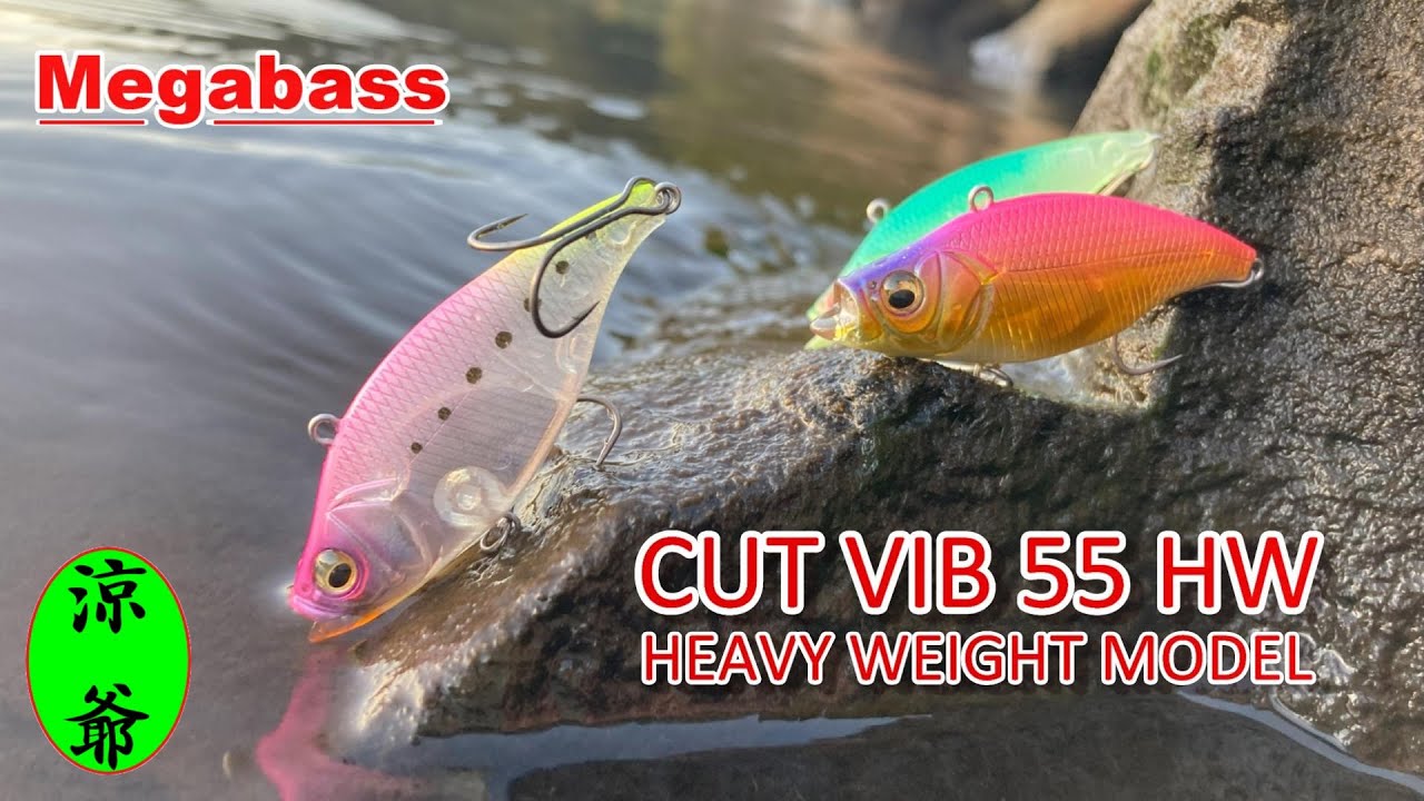 【バス釣り】Megabass CUT VIB 55 HW 使ってみた！