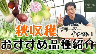 【家庭菜園】秋収穫のおすすめイタリア野菜！【もうすぐ播種時期】