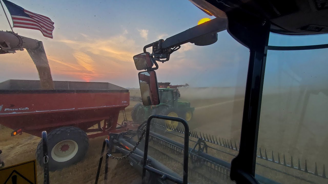 Wheat harvest in Hamer, Idaho 2021