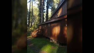Inside a Golden Oak Cabin at Forest Holidays