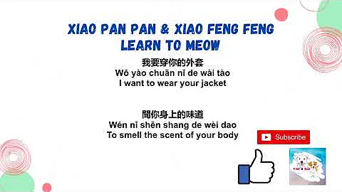 Xiao Pan Pan & Xiao Feng Feng -- Learn to Meow | 學貓叫 Lyrics - Song and Lyrics New Version
