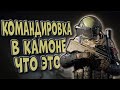 КОМАНДИРОВКА В КАМОНЕ! ЧТО ЭТО ТАКОЕ В ARENA BREAKOUT?