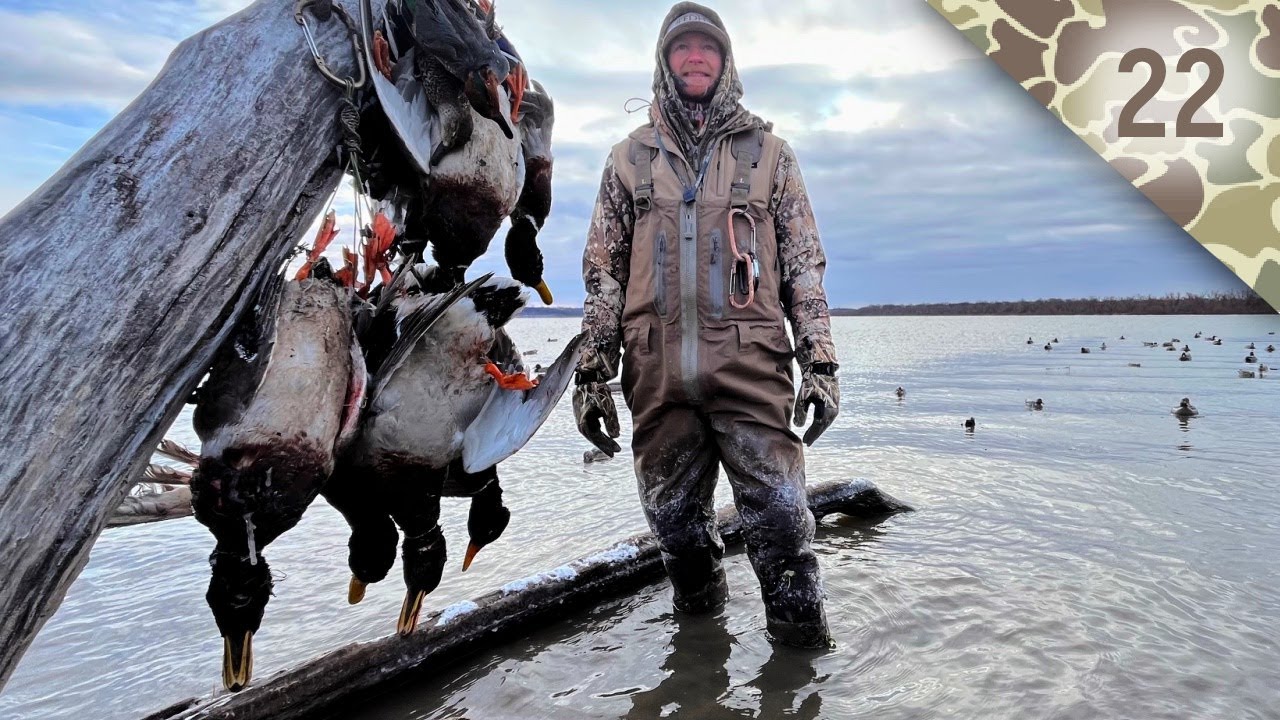 Big Water Mallards in Bitter Cold