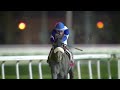 RM 38 Al Rayyan Race 5 - Al Mafiar Cup