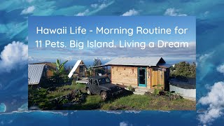 Hawaii Life - Living a Dream Morning Routine for 11 Pets Big Island