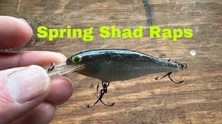 How To Catch Springtime Fish On A Shad Rap