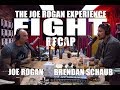 Joe Rogan Experience - Mayweather vs. McGregor Recap with Brendan Schaub
