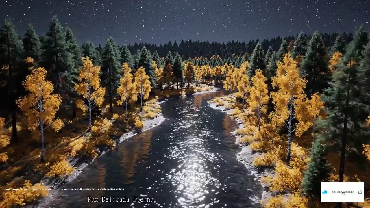 Susurros Del Piano Melodías Para La Calma Y La Contemplación Profunda