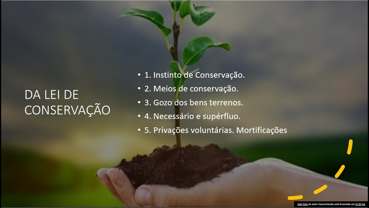 Aula 150 - Lei de Conservação - YouTube