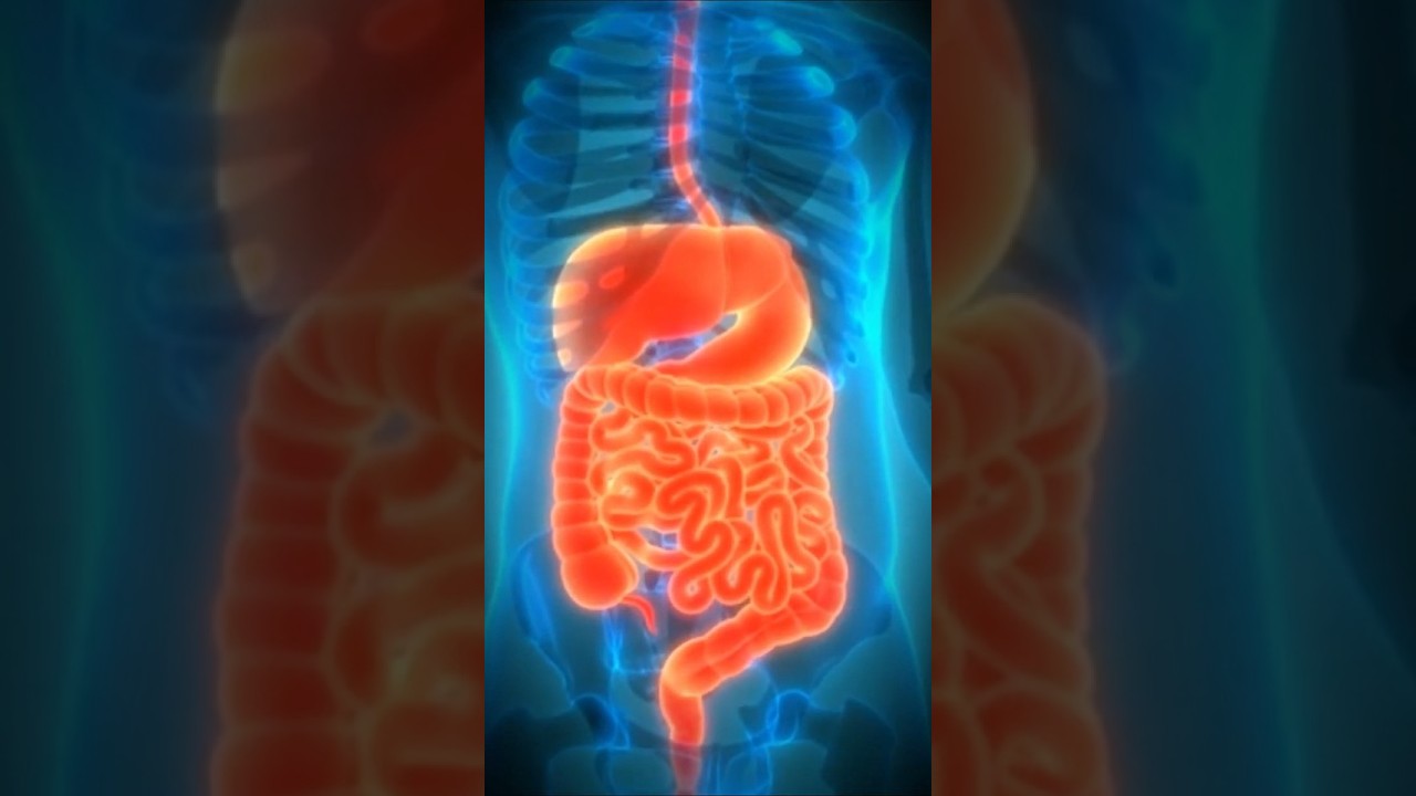 Stomach can dissolve a razor blade