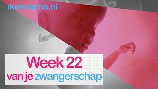22 weken zwanger | ikenmama.nl