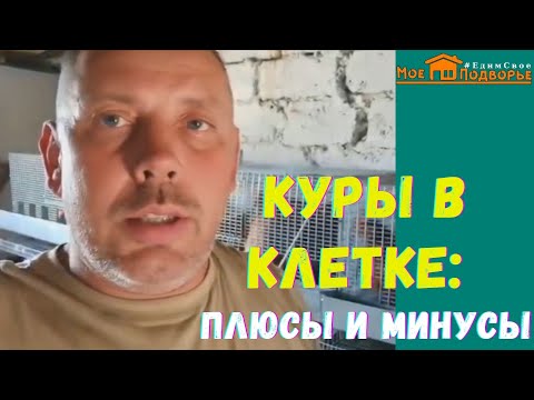 Клеточное содержание кур
