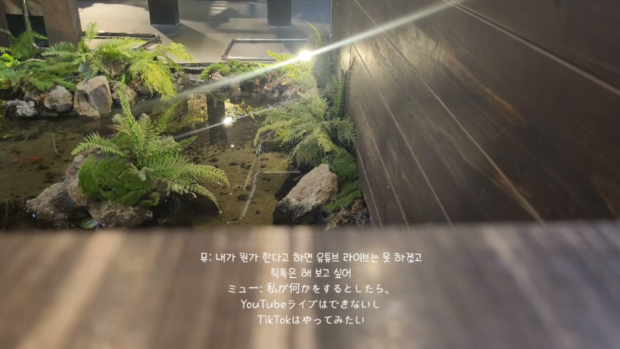 「NON ASMR, 日本語字幕」: ミューとヨヌの時間