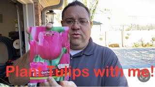 Planting tulip bulbs in December. by Horticulture Geek 189 views 4 months ago 25 minutes
