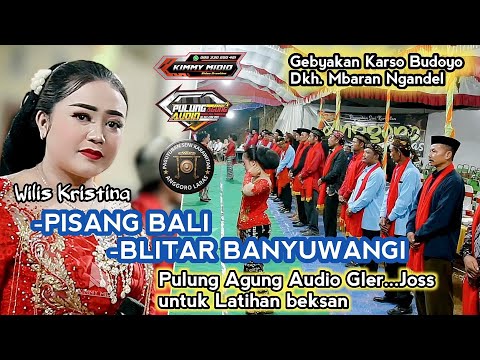 ATI KESIKSO - TRESNO LAN LORO || ARDESTA AUDIO GLERR