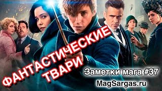 Фантастические Твари Обзор - Мнение о Фильме - Маг Sargas Фантастические Твари Обзор - Мнение о Фильме - Маг Sargas