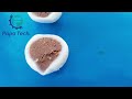 PAPA mochi making machine