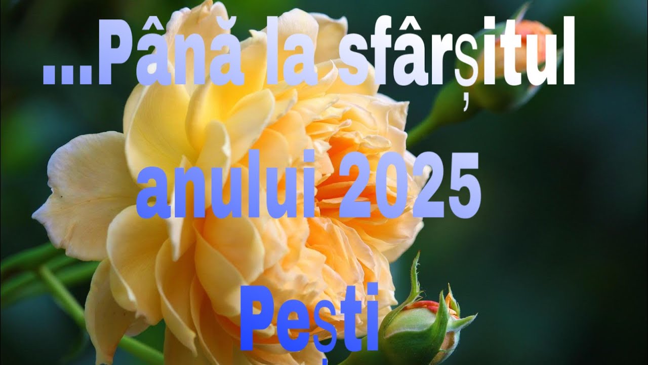 PEȘTI♓️PUTEREA REVINE ÎN SUFLETUL TĂU,ÎȚI VEI RECĂPĂTA ZÂMBETUL ȘI VEI STRĂLUCI LA PROPRIU👏🏼😇💐🥰♥️💯🙏🏻