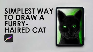 Draw Furry-Haired CAT in #Procreate | Free fur Brushes #freebrushes #illustration