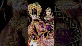 Jai shree krishna 🌼🙏🏼 radhe radhe status ❤️#youtube #shorts #video #status #reels