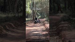 Birds Files A Complaint Against Me..