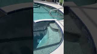 4072 Snowy Egret Dr.
