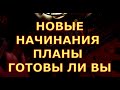 НОВЫЕ НАЧИНАЯ ПЛАНЫ ГОТОВЫ ЛИ ВЫ НАЧАТЬ ЗАДУМАННОЕ таро любви онлайн сегодня